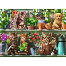 Ravensburger - Puzzle pisici pe raft 500 piese design nou Ravensburger - 1